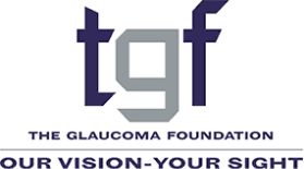 The Glaucoma Foundation - Our Vision-Your Sight The Glaucoma Foundation - Our Vision-Your Sight